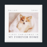 Imã Primeiro Natal de Pet em Quic Moderno para sempre<br><div class="desc">Design é composto por tipografia quic moderna com sans serif e serif font. Adicione uma foto personalizada do animal de estimação adotado e do ano.</div>