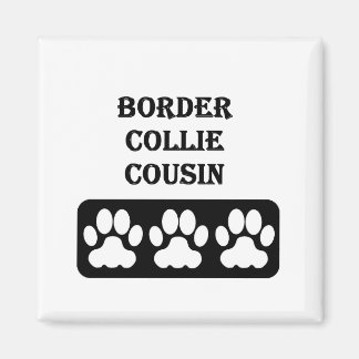 Imã Primo Border Collie
