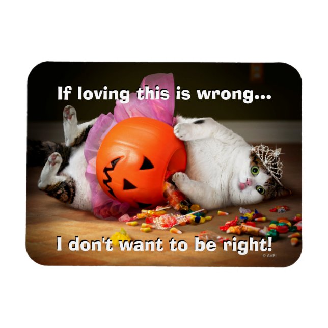 Ímã Princesa Cat Com Balde De Doces (Horizontal)