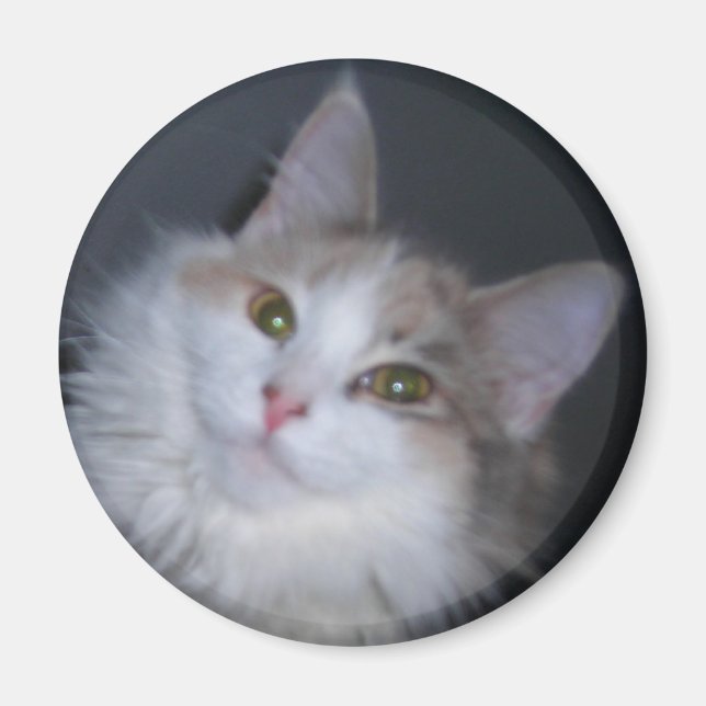 Imã Princesa do Calico (Frente)