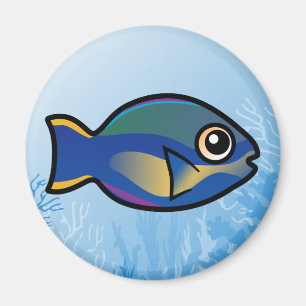 Imã Princesa Parrotfish