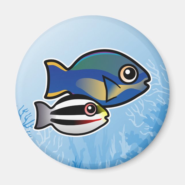 Imã Princesa Parrotfish (Frente)