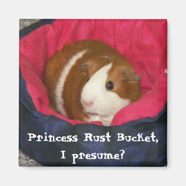 Imã Princesa Rust Balde, presumo? (Frente)