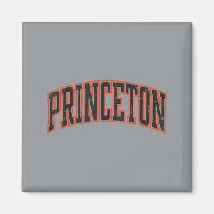 Imã Princeton Nova Jersey Design Vintage Homens Mulher