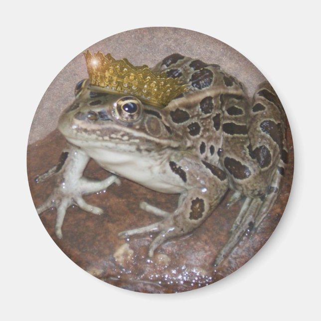 Imã Príncipe Sapo (Frente)