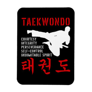 Ímã Princípios do Taekwondo Chute Voador Artes Marciai