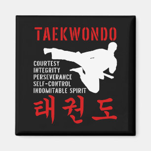 Imã Princípios do Taekwondo Chute Voador Artes Marciai