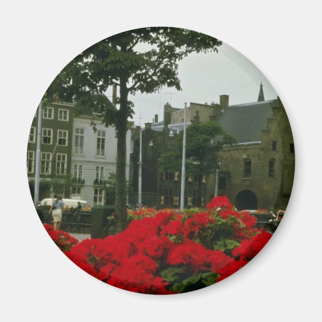 Imã Prisão Medieval Nas Flores De Haia (Frente)