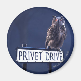 Imã Privet Drive