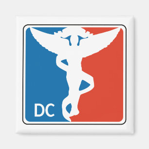 Imã Pro Chiropractor Magnet