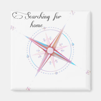 Imã Procurando por bússola doméstica