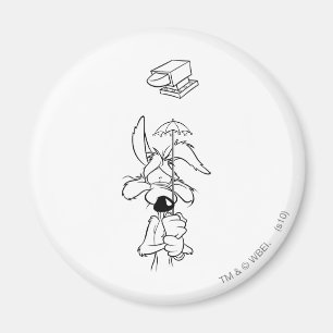 Imã Produtos Acme WILE E. COYOTE™