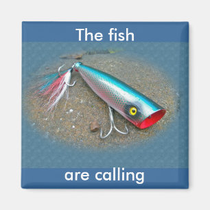 Imã Produtos de Dragão Azul da Popper Azul do Saltwat