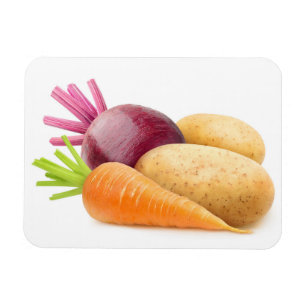 Ímã Produtos hortícolas de raiz