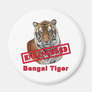 Imã Produtos pstos em perigo do tigre de Bengal