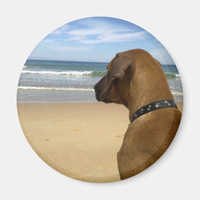 Imã Produtos Ridgeback da Rodésia (Frente)