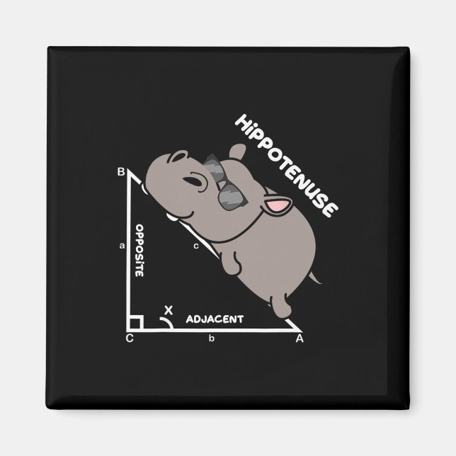 Imã Professor de Matemática Geometria Hipotenusa Engra (Frente)