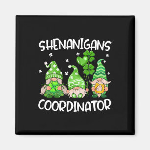 Imã Professores dos Gnomos Cute, Coordenadores de Shen