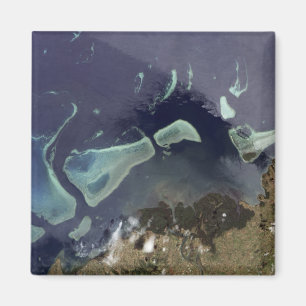 Imã Profundamente - floresta verde na terra