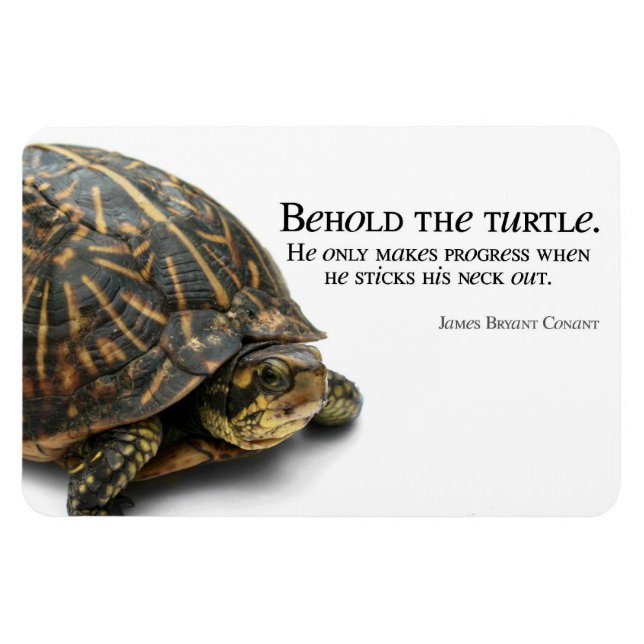 Ímã Progresso (Horizontal)