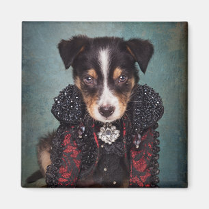 Imã Projeto de animais de estimação do abrigo - Loki