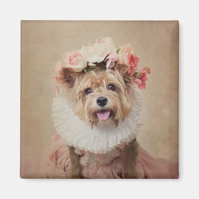 Imã Projeto Pets de abrigo - Críquete (Frente)