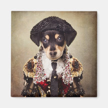 Projeto Pets de abrigo - Josie