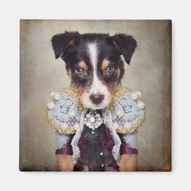 Imã Projeto Pets de abrigo - Loki (Frente)