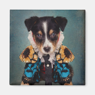 Imã Projeto Pets de abrigo - Loki (Azul)