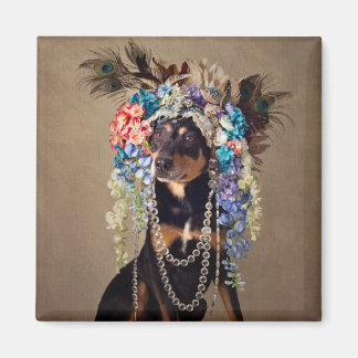 Imã Projeto Pets de abrigo - meia-noite