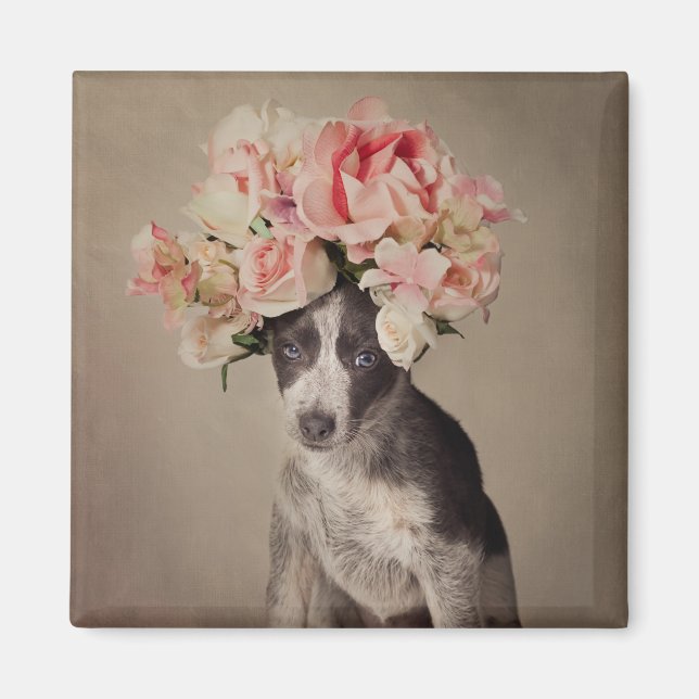 Imã projeto Pets de abrigo - Opal (Frente)