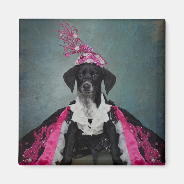 Imã Projeto Pets de abrigo - Pepper (Frente)