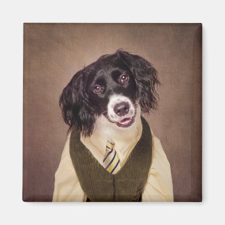 Imã Projeto Shelter Pets - Canonball