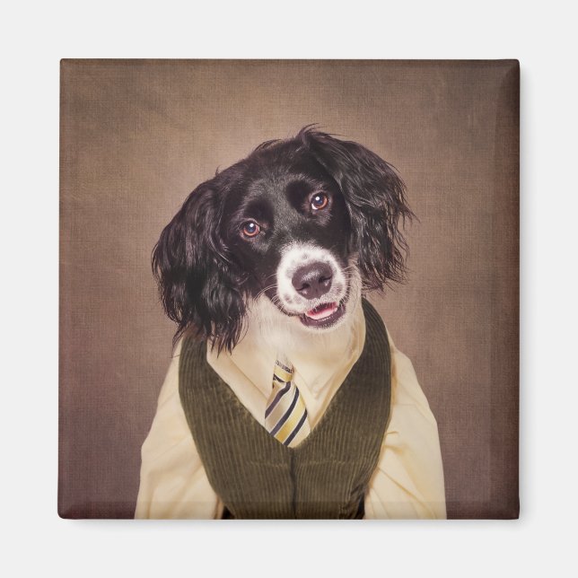 Imã Projeto Shelter Pets - Canonball (Frente)