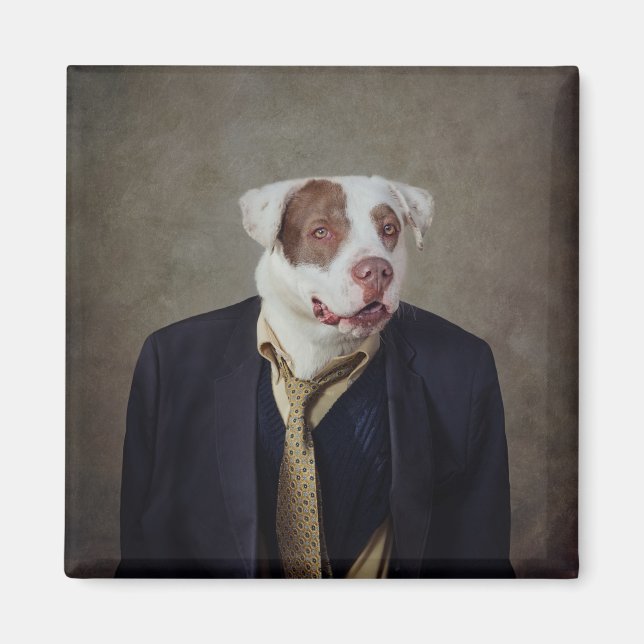 Imã Projeto Shelter Pets - Casanova (Frente)