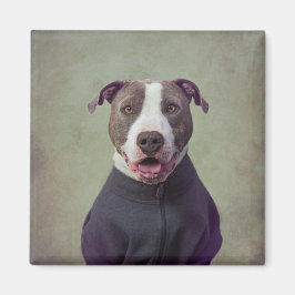 Imã Projeto Shelter Pets - Major Good Boy