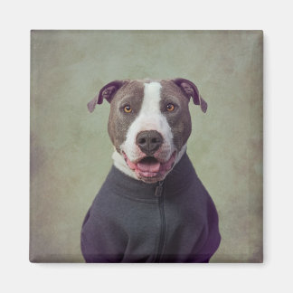 Imã Projeto Shelter Pets - Major Good Boy