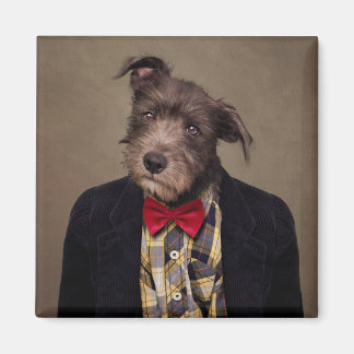 Imã Projeto Shelter Pets - Ombré