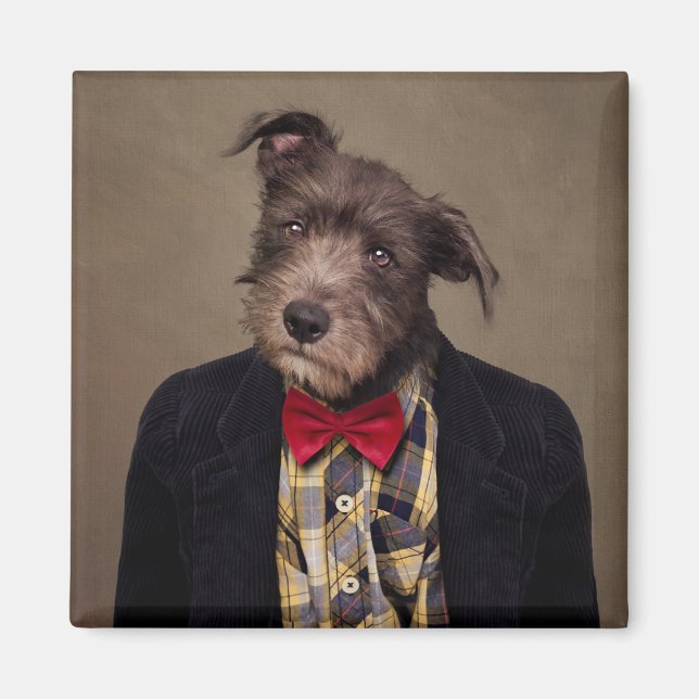 Imã Projeto Shelter Pets - Ombré (Frente)