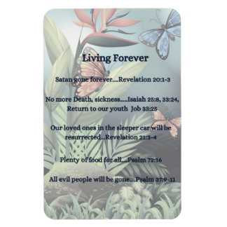 Ímã Promessa futura