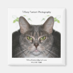 Imã Promo de Stella