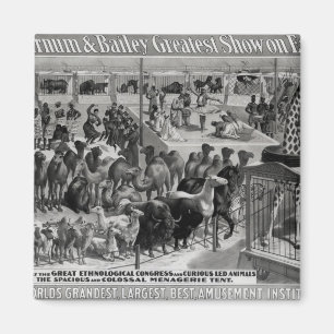 Imã Propaganda de poster, 'o Barnum e o Bailey