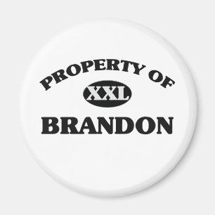 Imã Propriedade de BRANDON