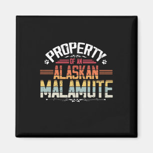 Imã Propriedade de um cão-de-estimação malamute do Ala