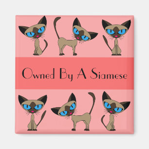 Imã Propriedade De Um Magneta Siamês