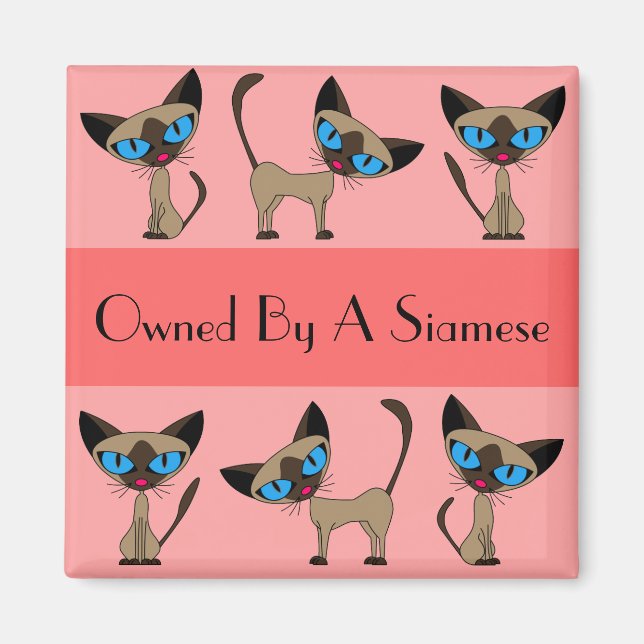 Imã Propriedade De Um Magneta Siamês (Frente)