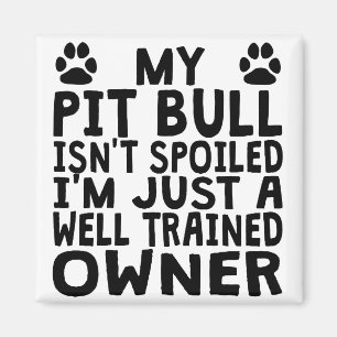 Imã Proprietário bem treinado do pitbull