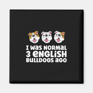 Imã Proprietário Do Bulldog Eu Era Normal 3 Bulldog In