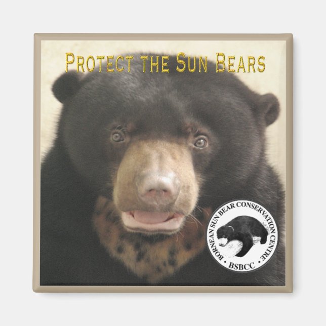 IMÃ PROTEGER A KUAMUT DAS BARRAS DO SOL (Frente)