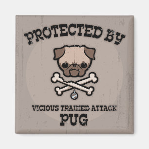 Imã Protegido pelo Pug
